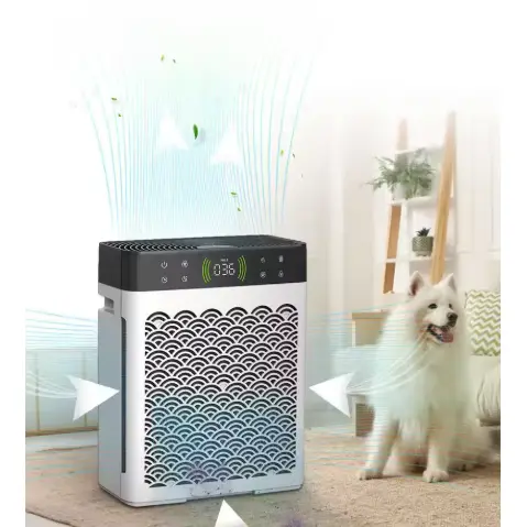 Oczyszczacze powietrza UV z filtrami z węglem aktywnym